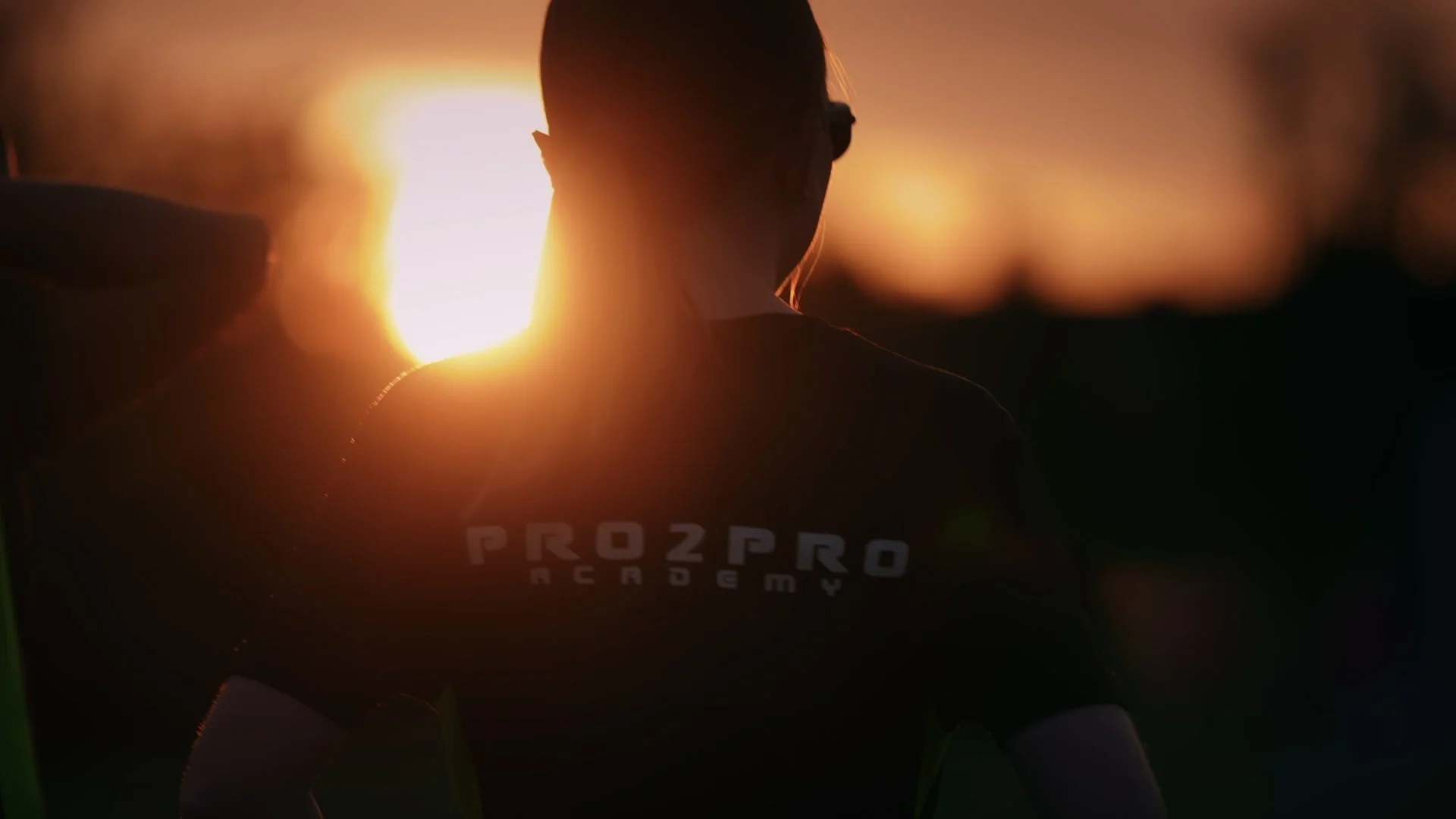 pro2pro1.jpg