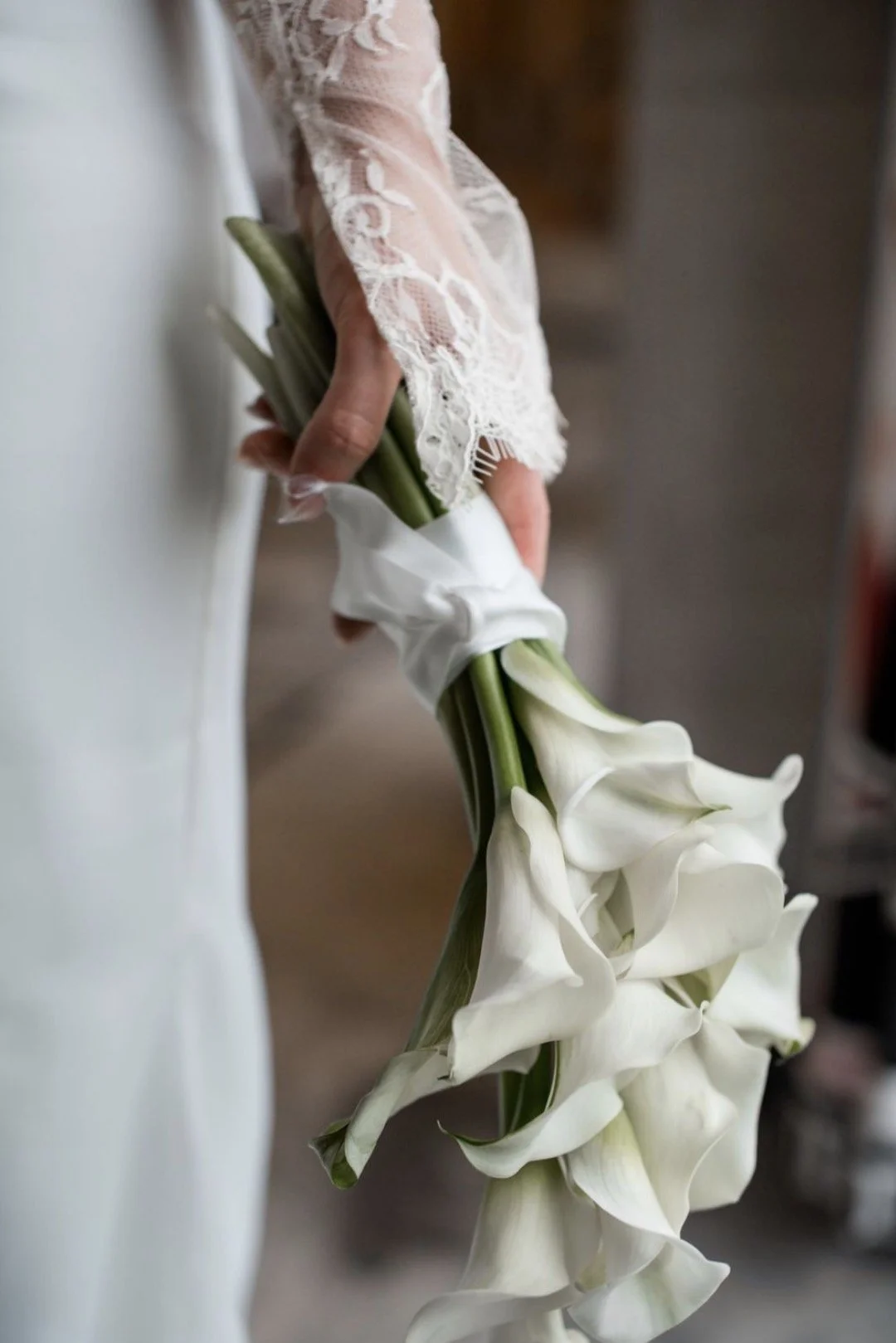 Bilde 14.12.2025, 13 09 24.jpg