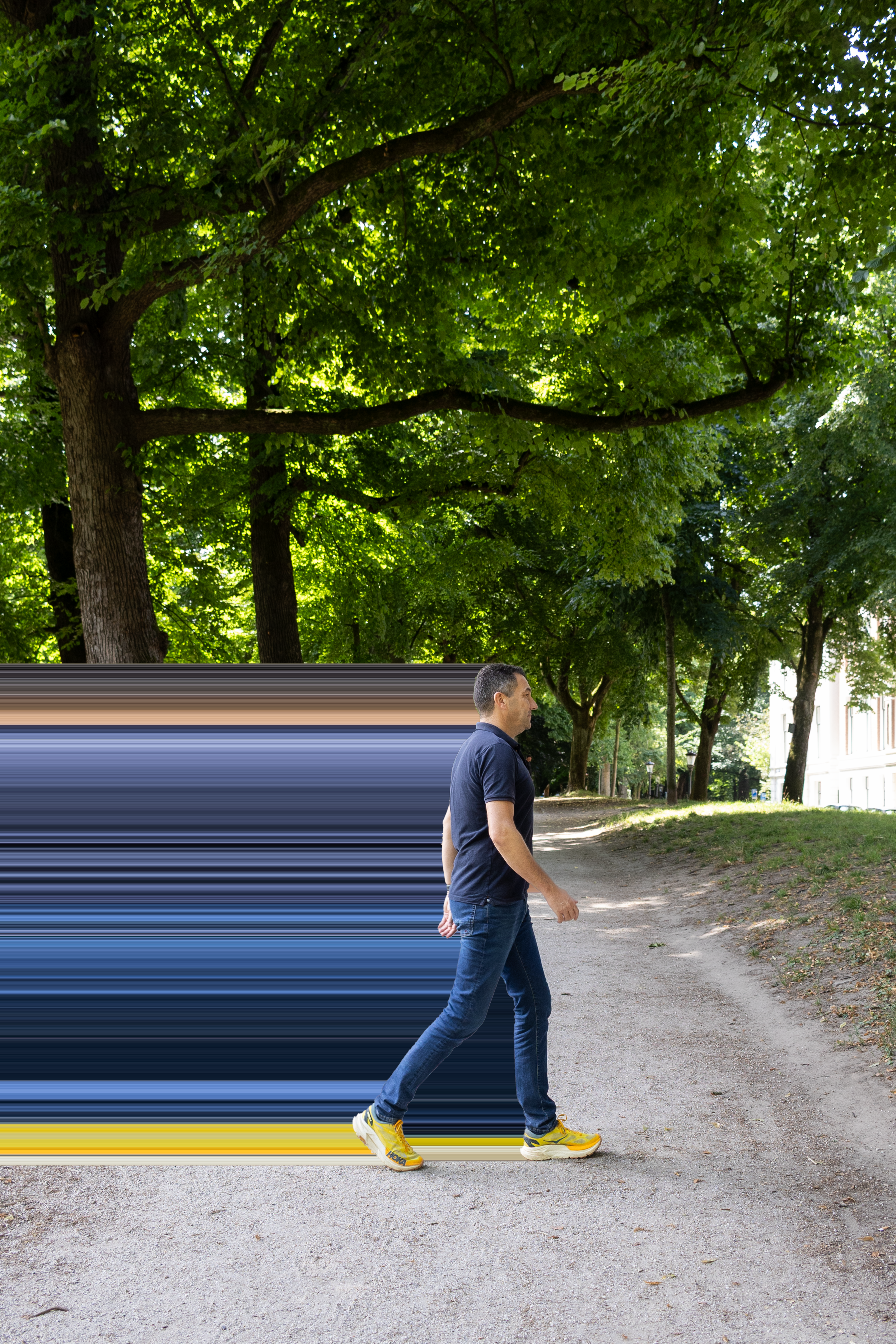202507 - TIM - KIN - Beweging.png