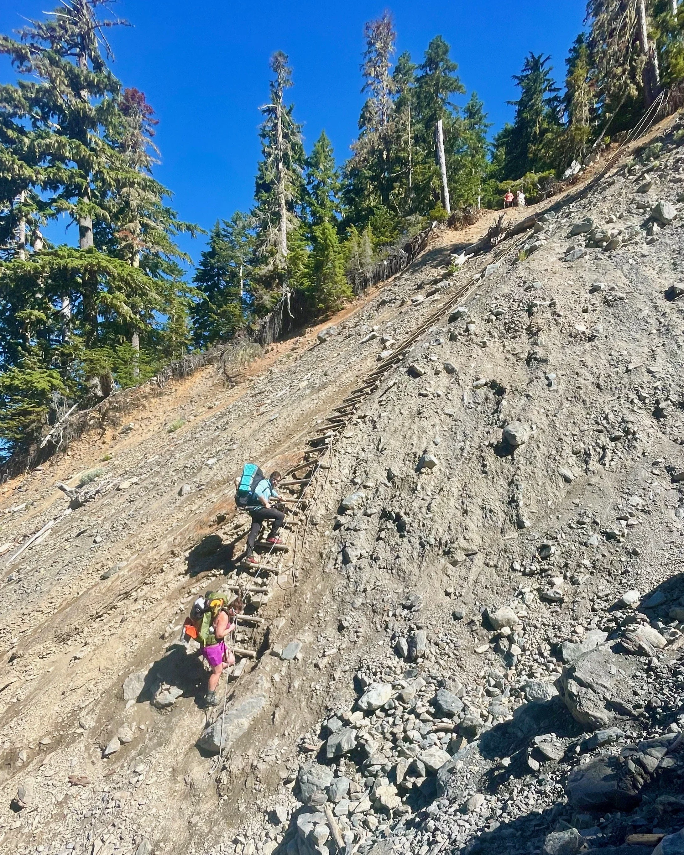   The infamous ladder between Elk Lake and Glacier Meadows.  