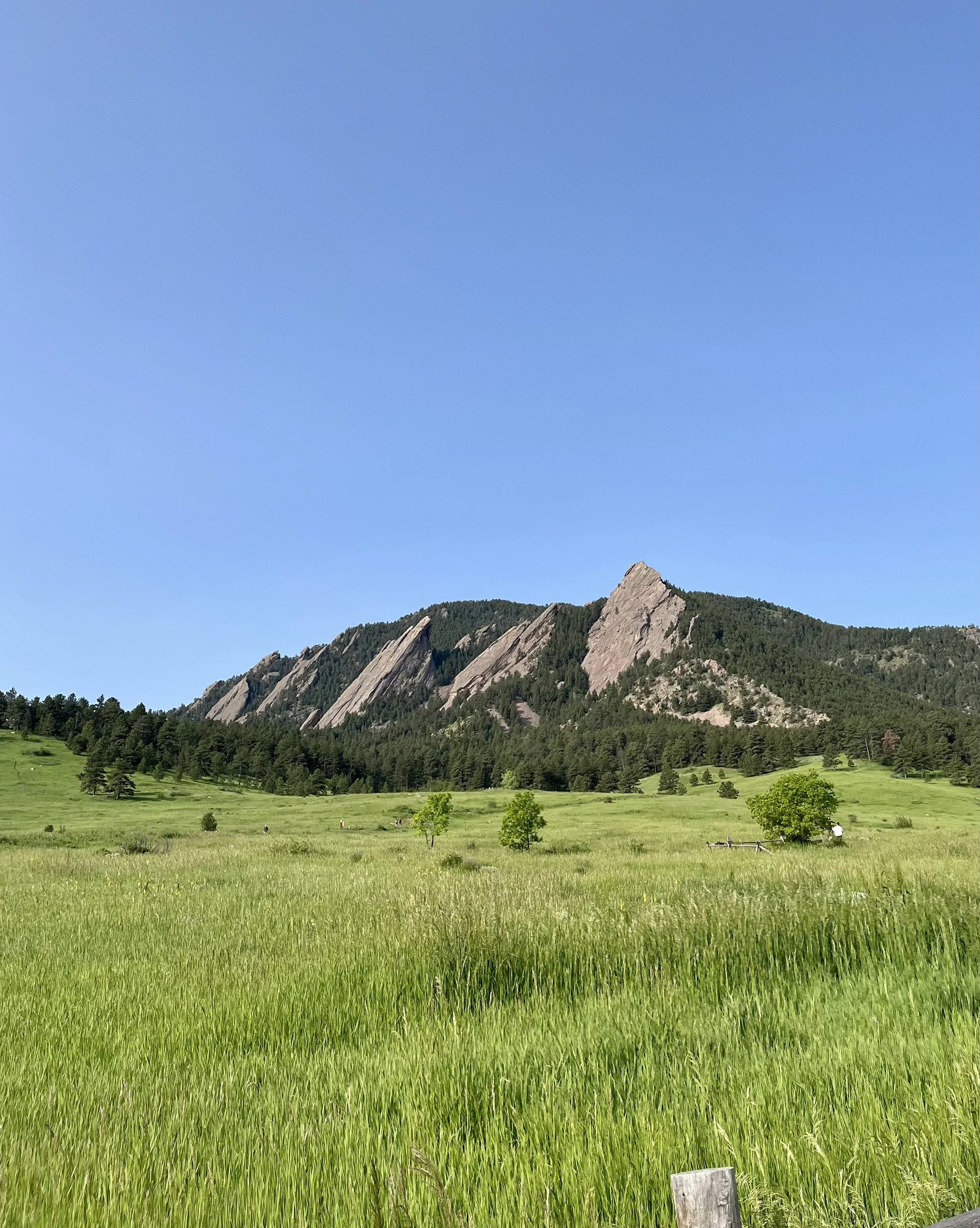 The Flatirons