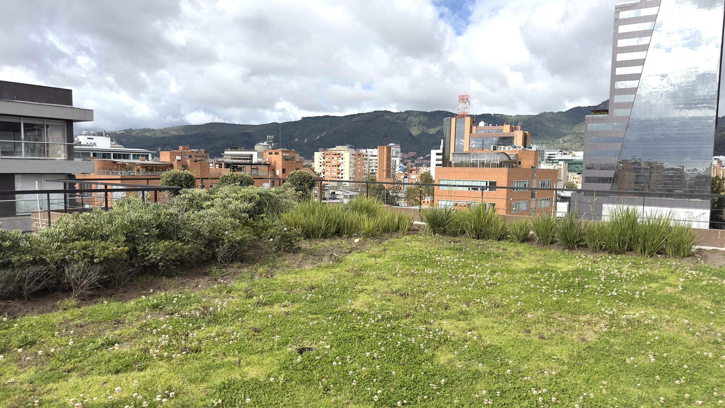 IMG_4180.jpeg