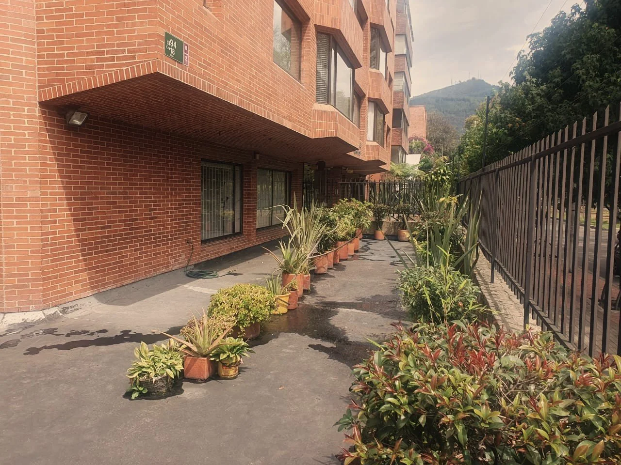 Terraza