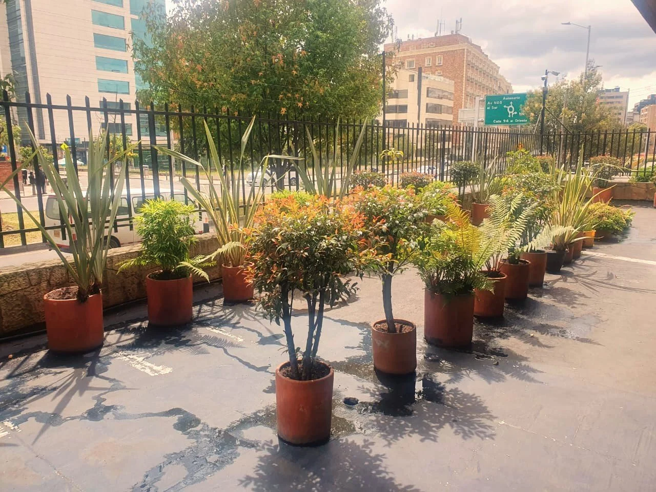 Terraza