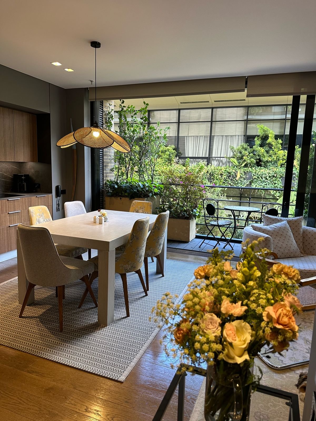 Vista Comedor