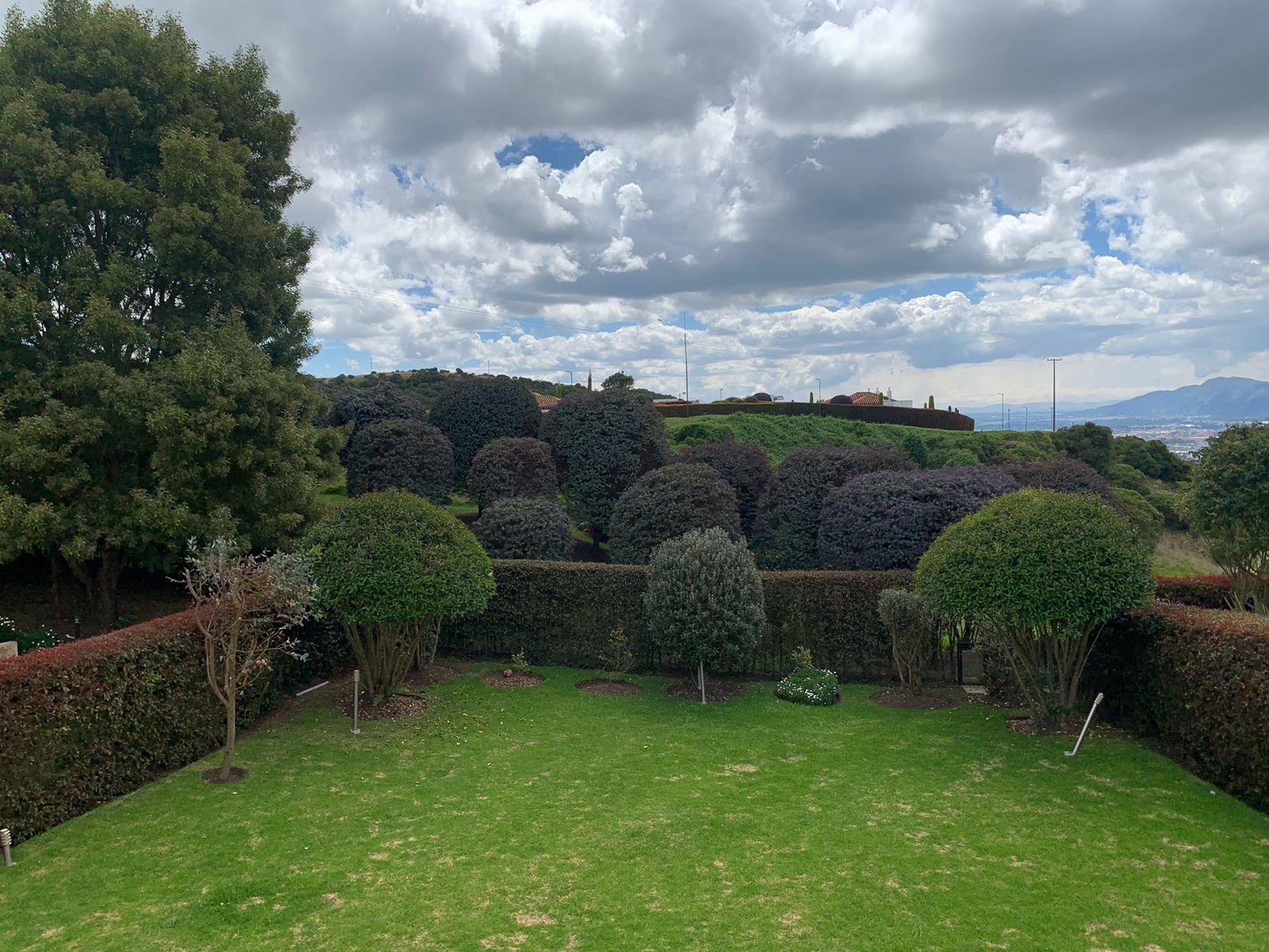 Vista superior del jardín