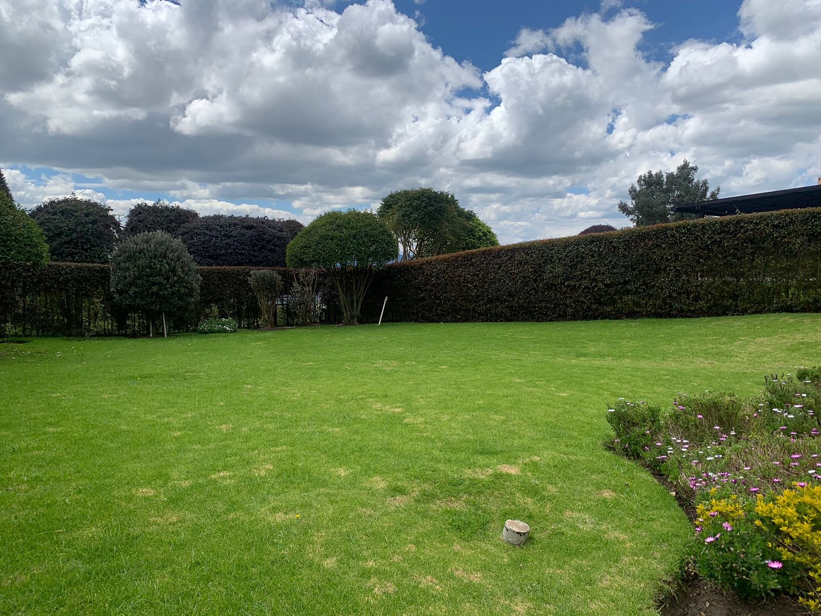 Vista del jardín