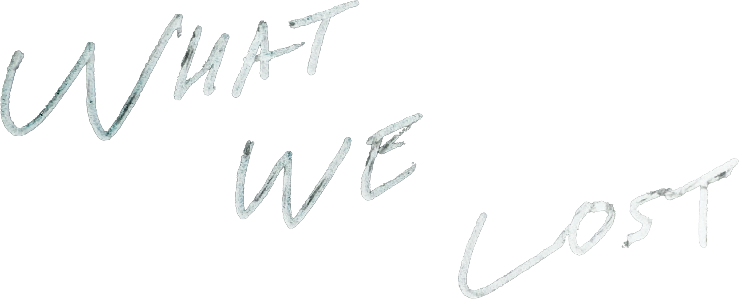 Text that reads "What We Lost" written in a handwritten style.