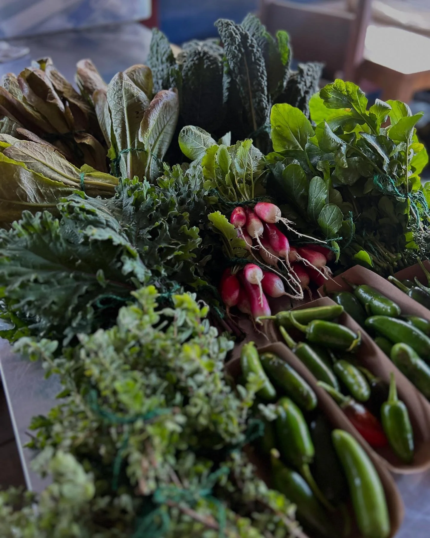 Harvest day @valmontefarmandgarden !

Locally grown nutrient rich food will be available at their farmers market tomorrow from 10-1 in Rancho Palos Verdes.

@athletic_eco_gardens can help you grow seasonal food just like this at your home or business
