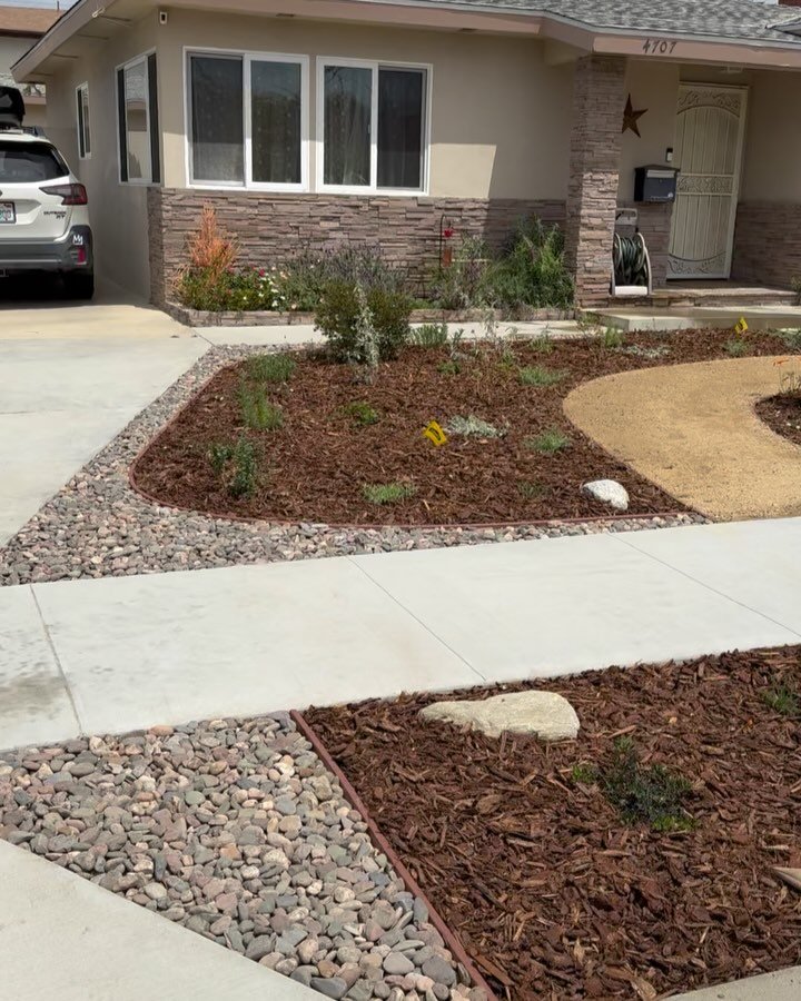 Another project in the books!  We converted this old lawn into a California native plant paradise.  It includes a waterside drip irrigation, dry riverbed, DG pathway, and lots of true California Native plants!

We are so excited to see everything gro
