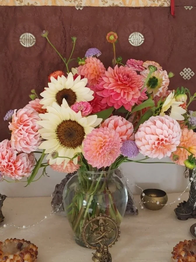 8gD9taiLTrGwz4puOoGu9Q.jfif