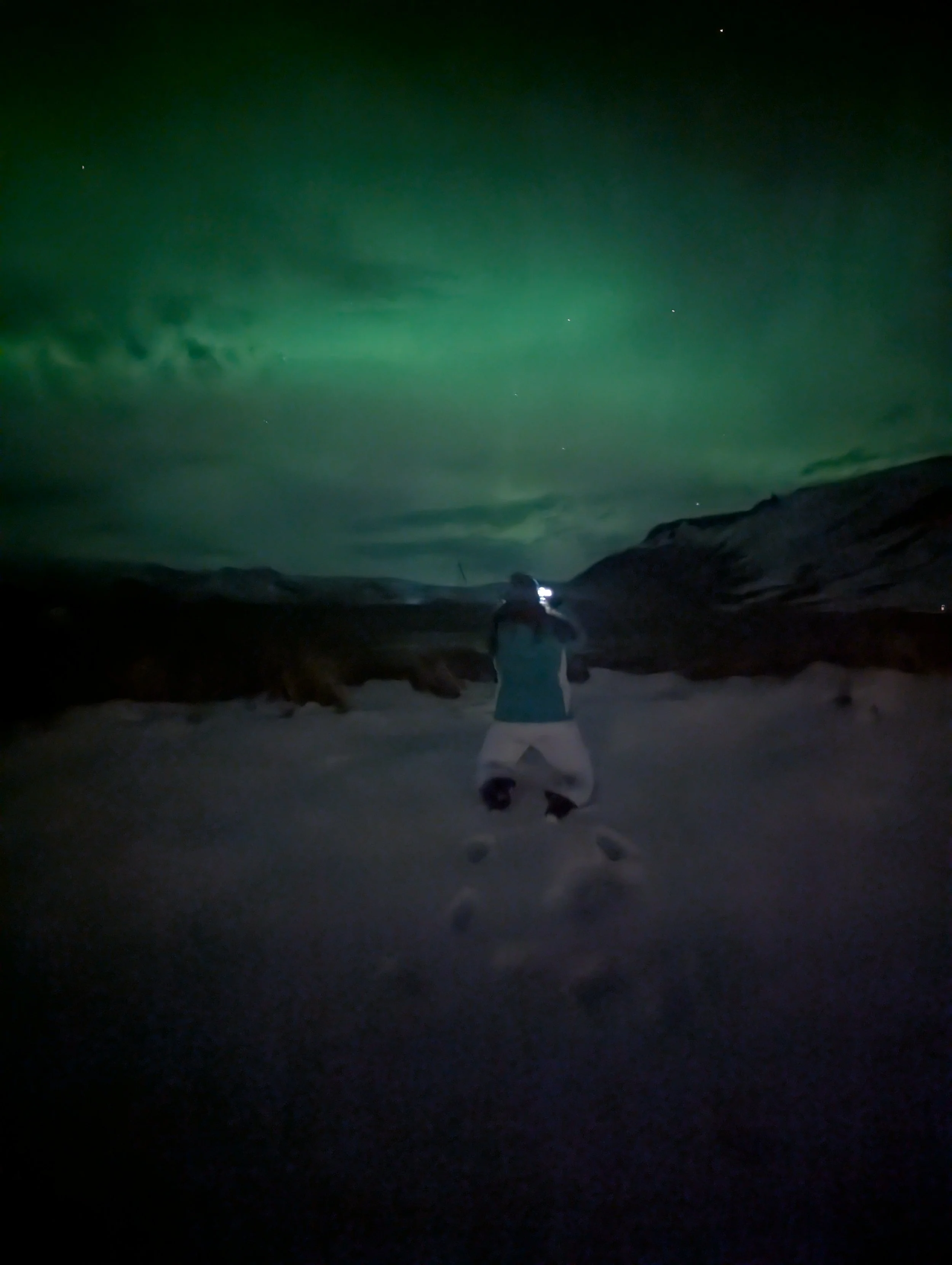 PXL_20250120_230425486.NIGHT.jpg