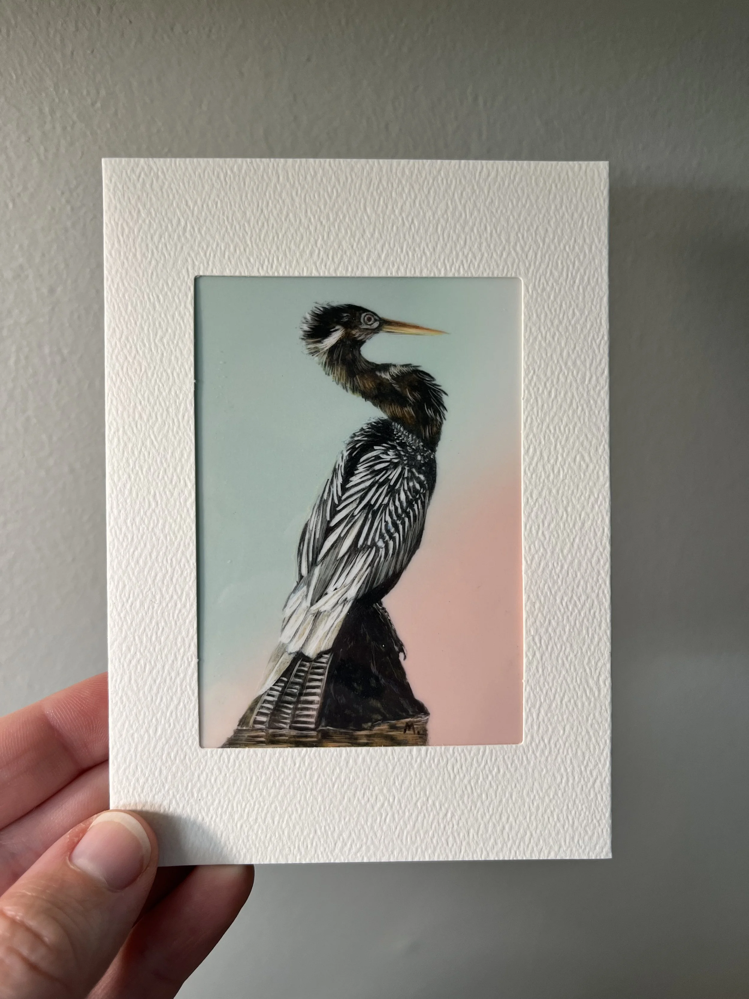 Custom Bird Art and Limerick