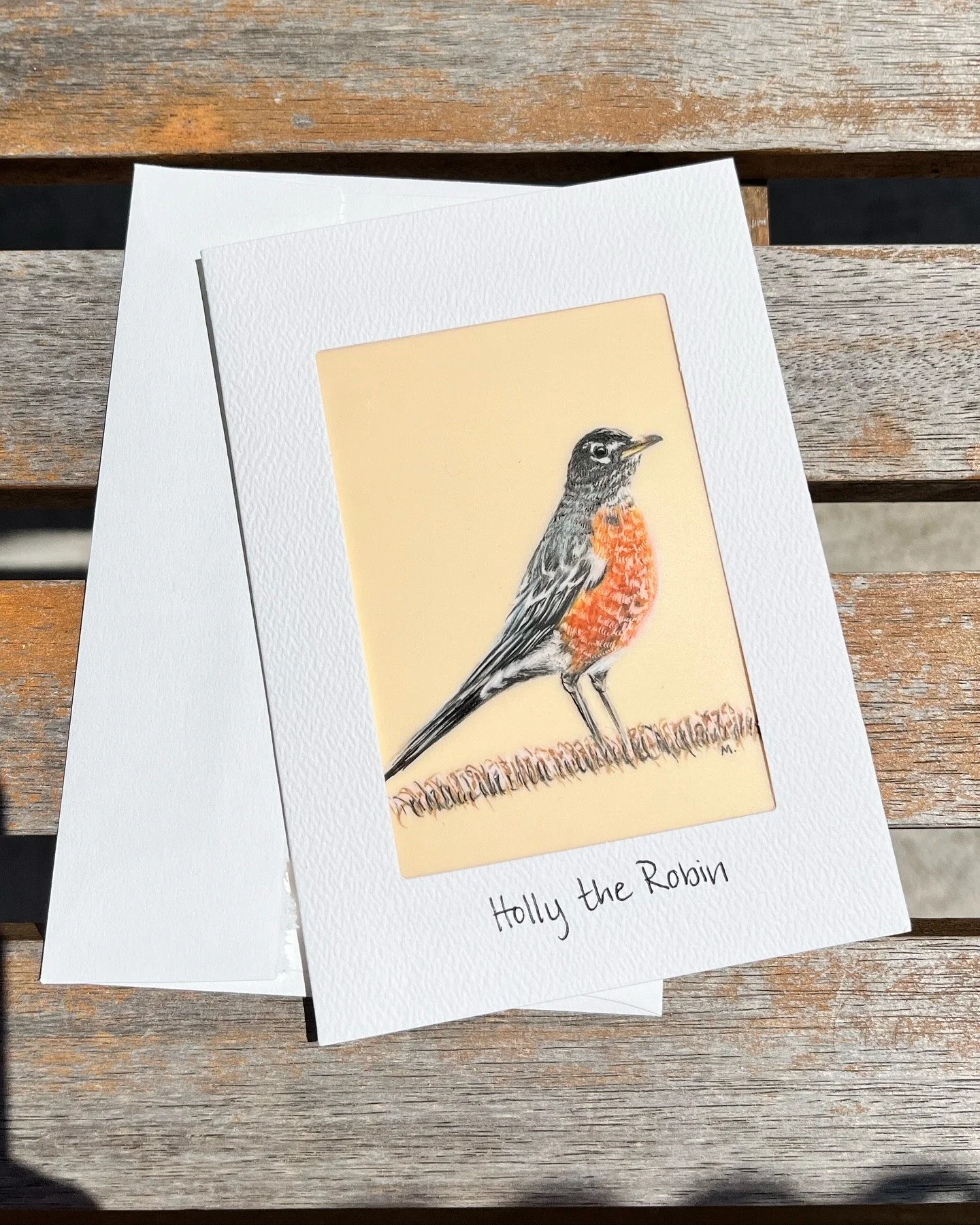 Holly the Robin