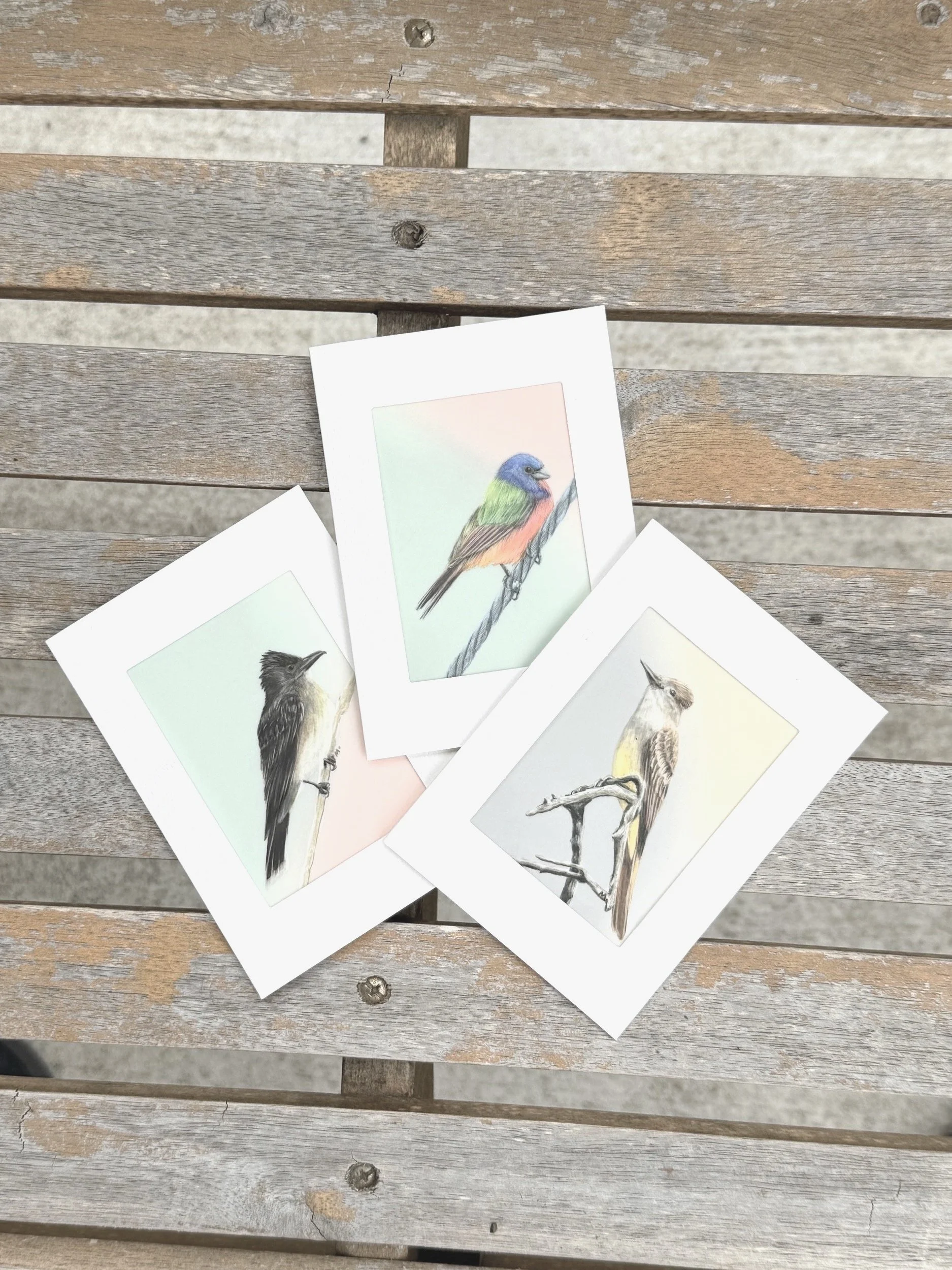 You're Like a Bird Cards