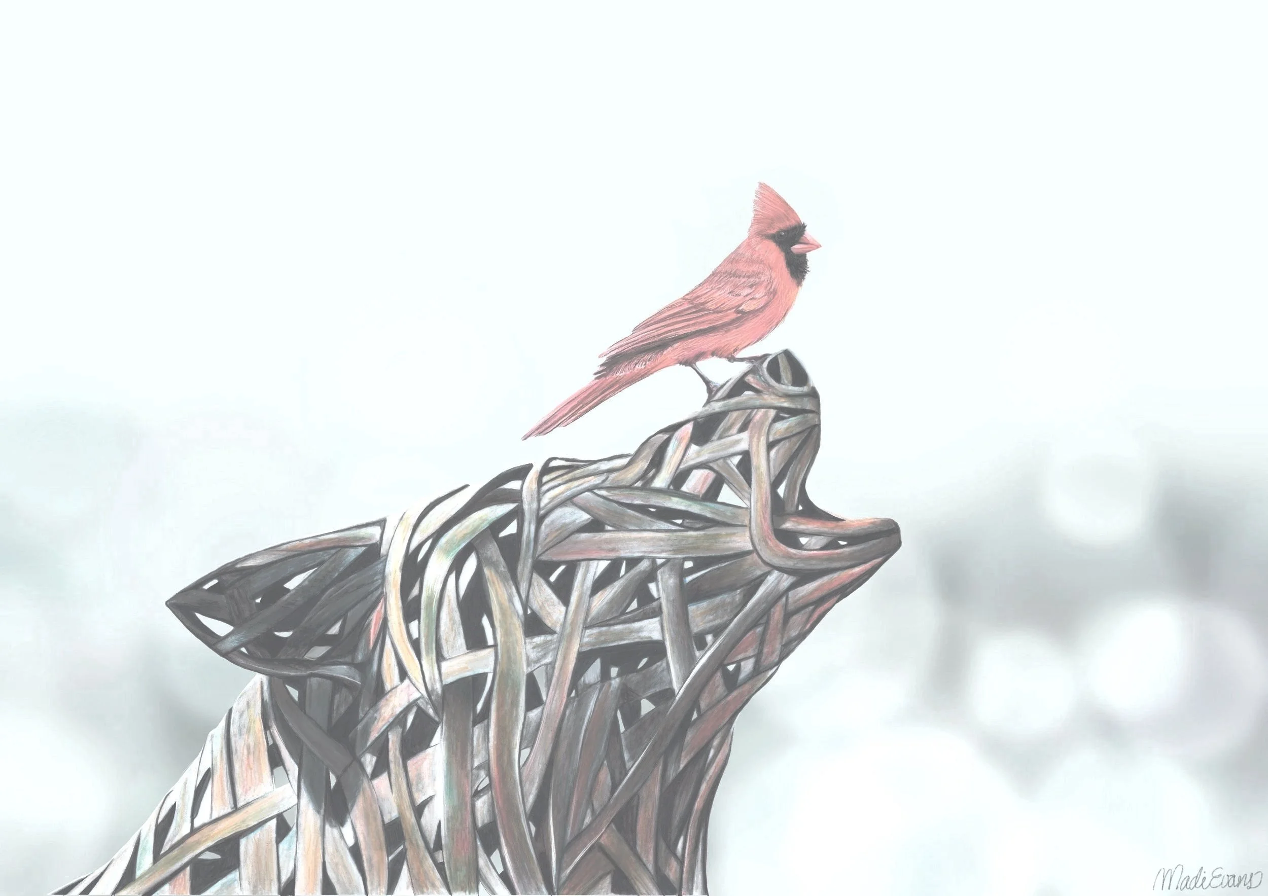 Our STATE Bird