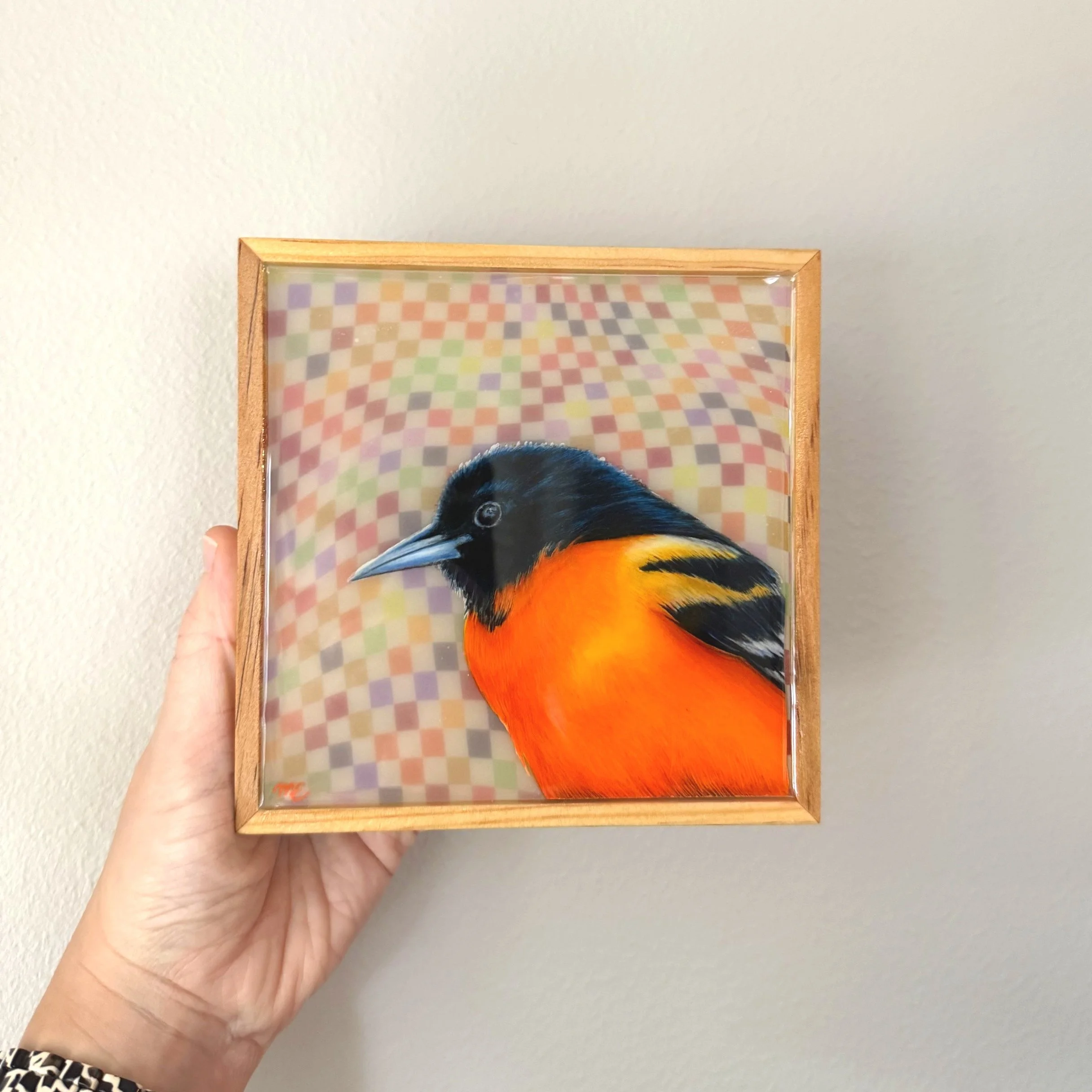 "Disco Oriole" 2024 // 
BDO's Art of Giving // 
Colored pencil on drafting film, layered paper and finished in resin