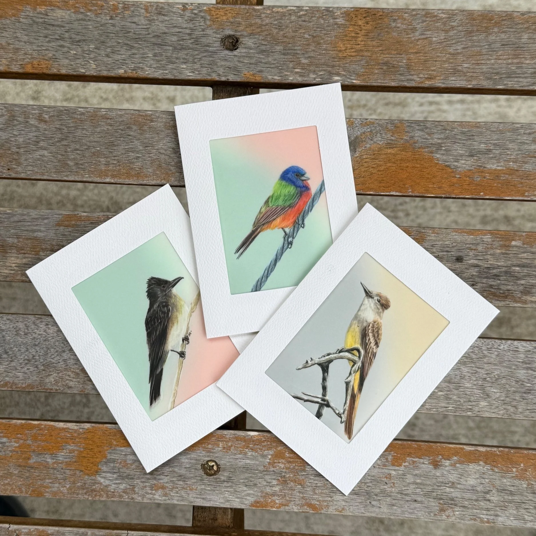 Bird Card 3-Pack (Original Art)