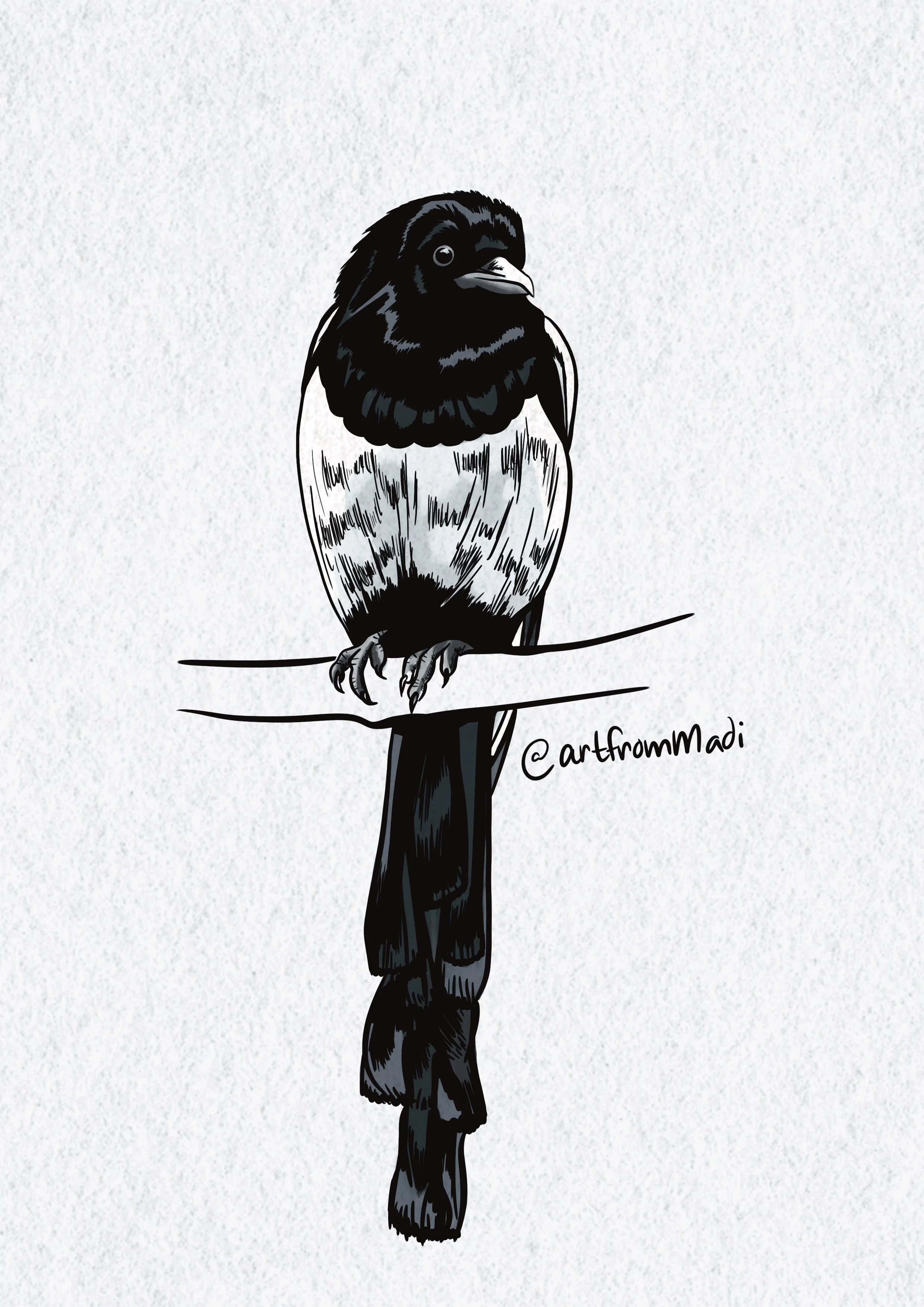 Magpie Musings