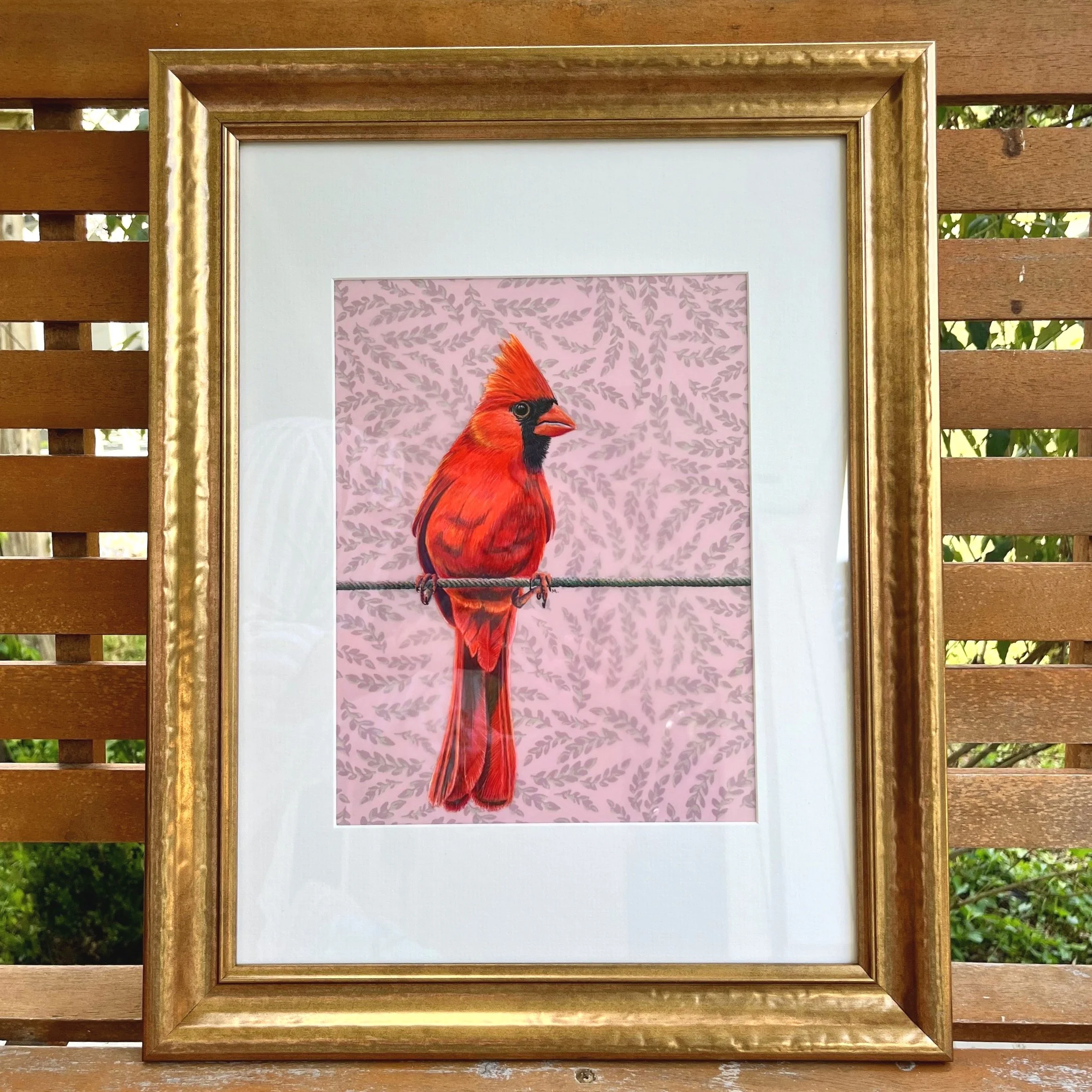 Cardinal for Adair