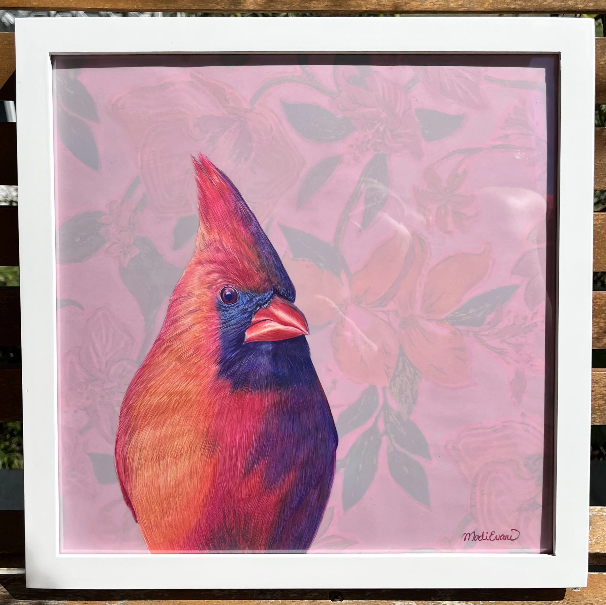 "Pink Cardinal" 2024 // 
12x12 Exhibit (Artspace) // 
Colored pencil on drafting film, layered mixed media