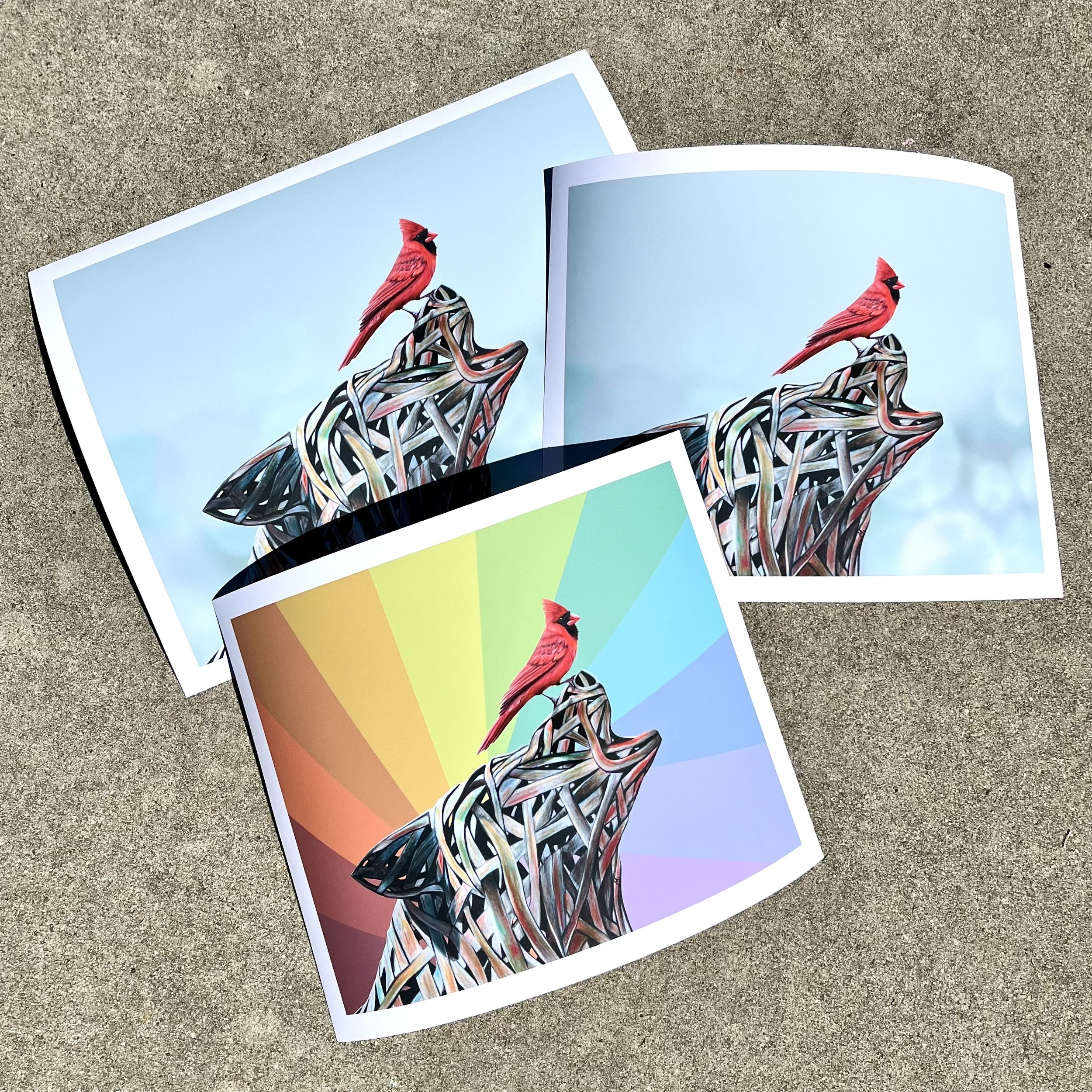 9x12 and 8x10 options with different backgrounds