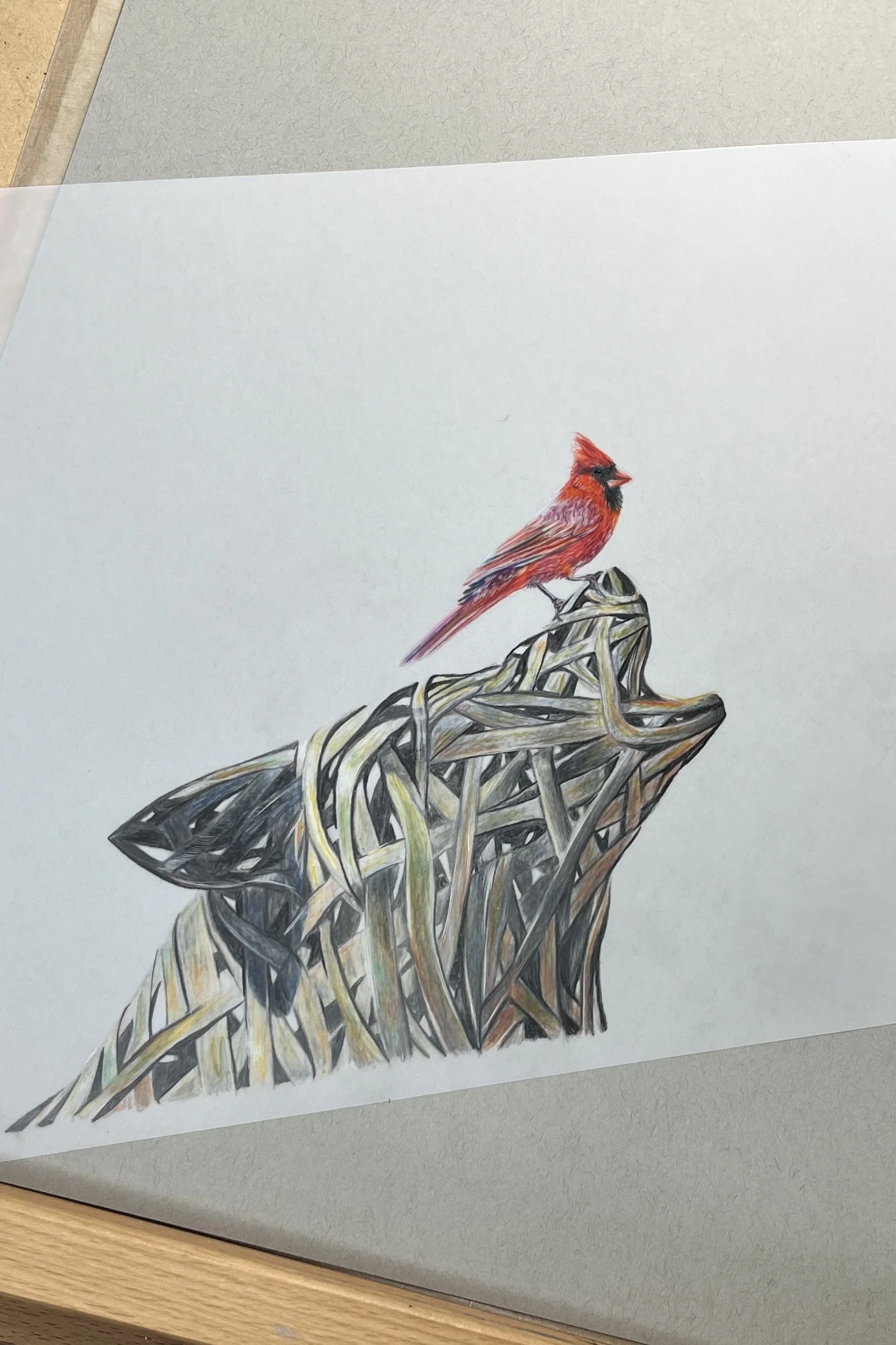First colored pencil layer
