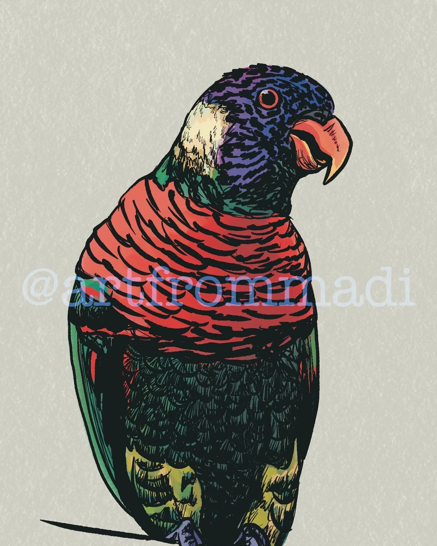 Custom Digital Bird Art - Great for Birders!