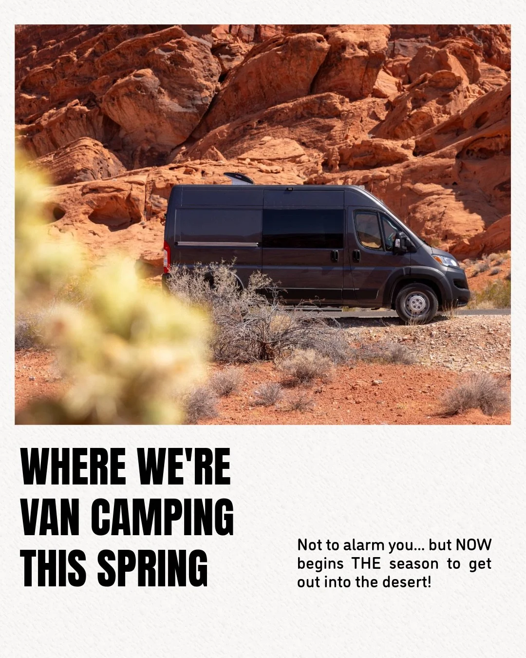 Thawing my bones in the desert every year really is a ritual.

#vanlife

Camper van rental, Las Vegas
Spring break road trip