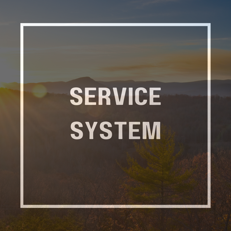 Service System Committee Meeting