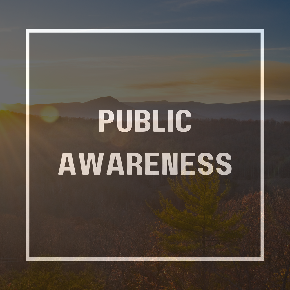 Public Awareness Committee Meeting