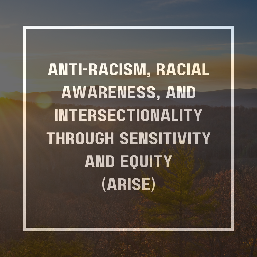 ARISE Committee Meeting