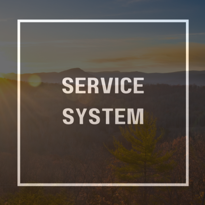 Service System Committee: Behavioral Health Resource Review