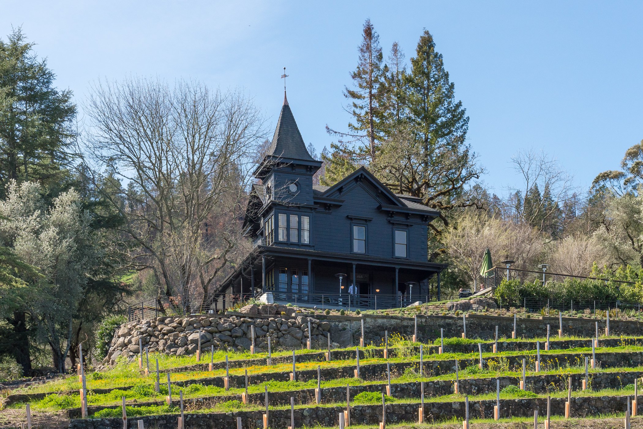 St. Helena Area Photos-MLS34.jpg