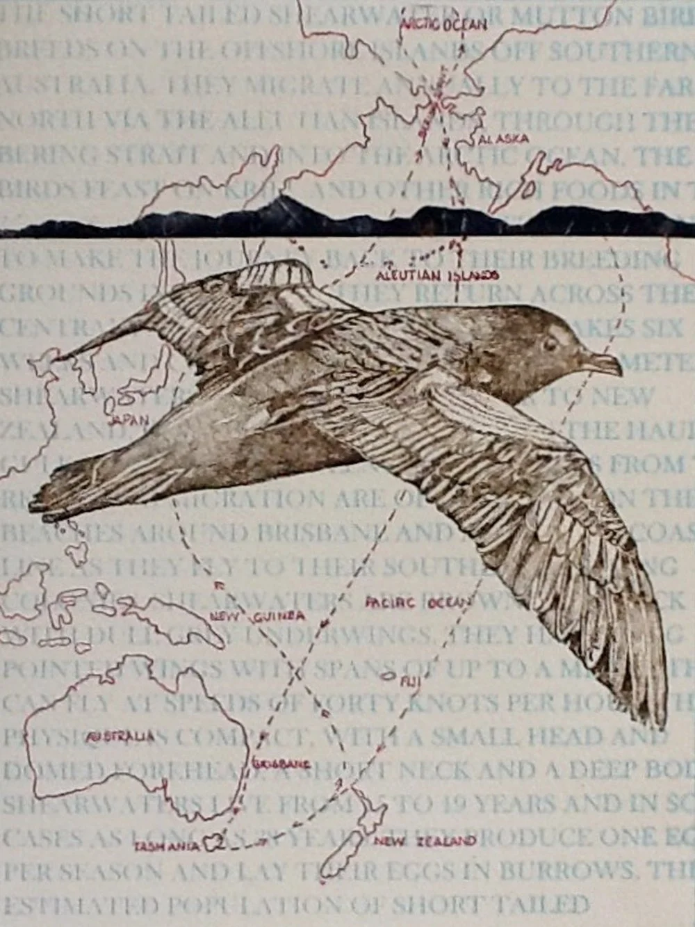 Rosalie Thompson
