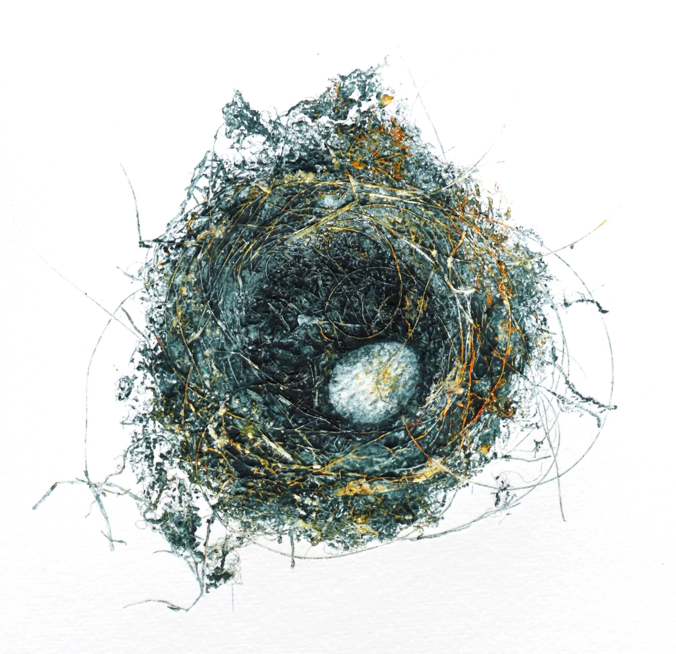 Rosemary Mortimer_Nest,Te Waka Rd V web.jpeg