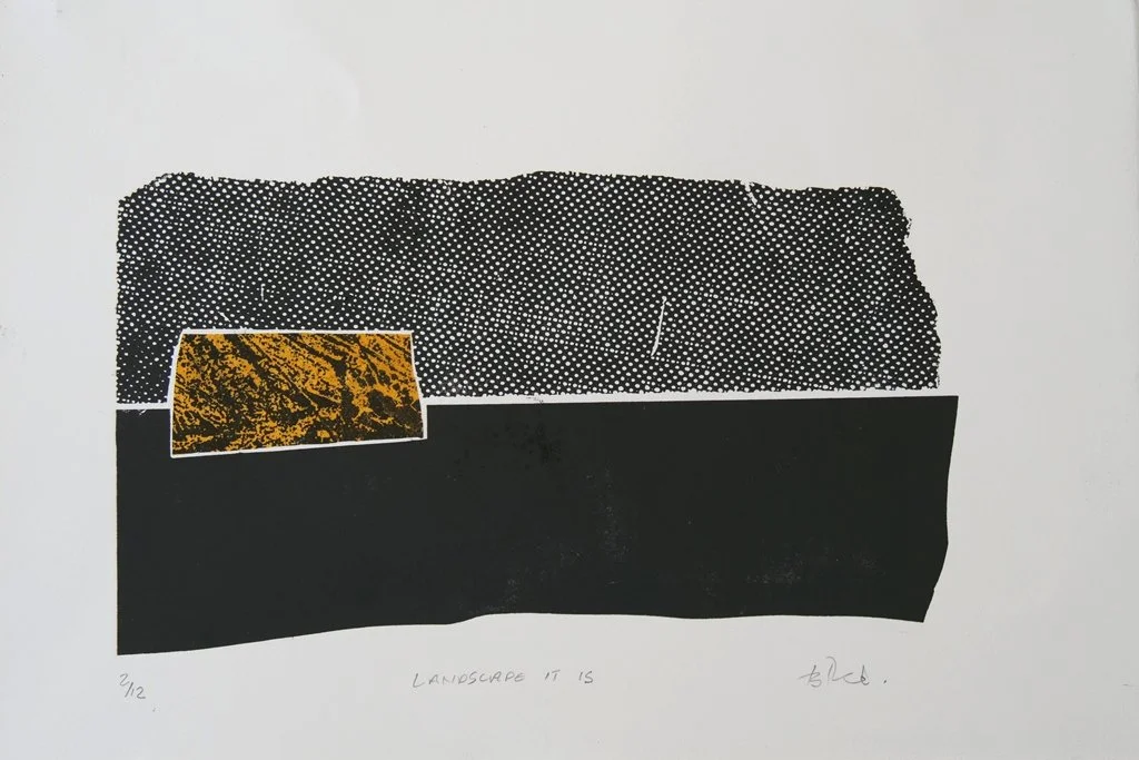 Kathy Boyle - Landscape it is - Relief collage