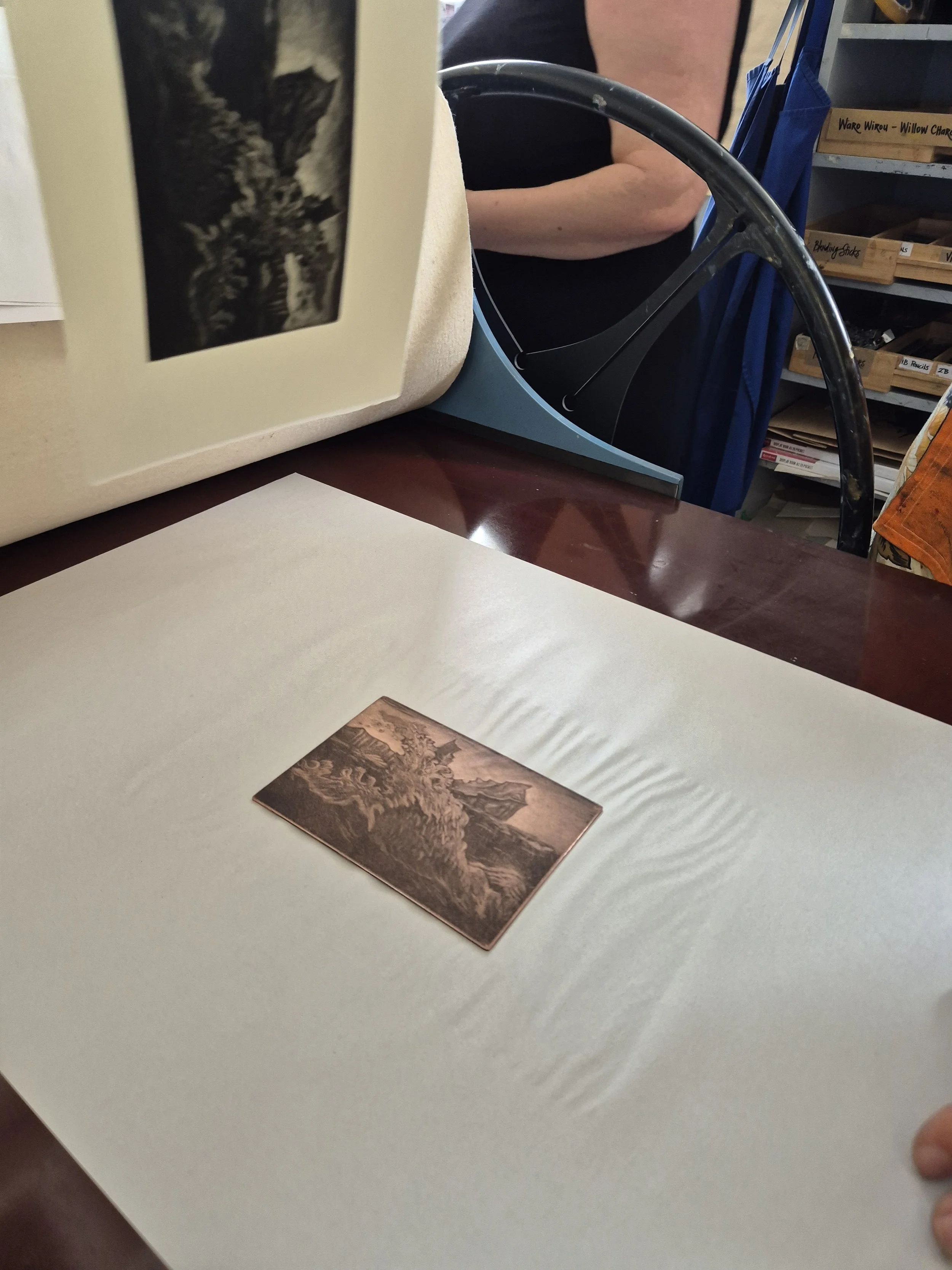 West coast (SI) Report MARCH - MAY 2026 