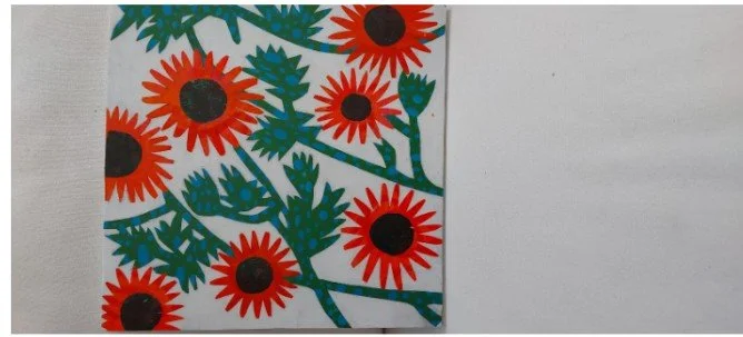 Bay of Plenty Report March- May 2026 