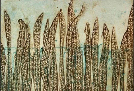 Hawkes Bay - Collagraph with Celia 1.jpg