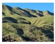 Wellington 5.jpg