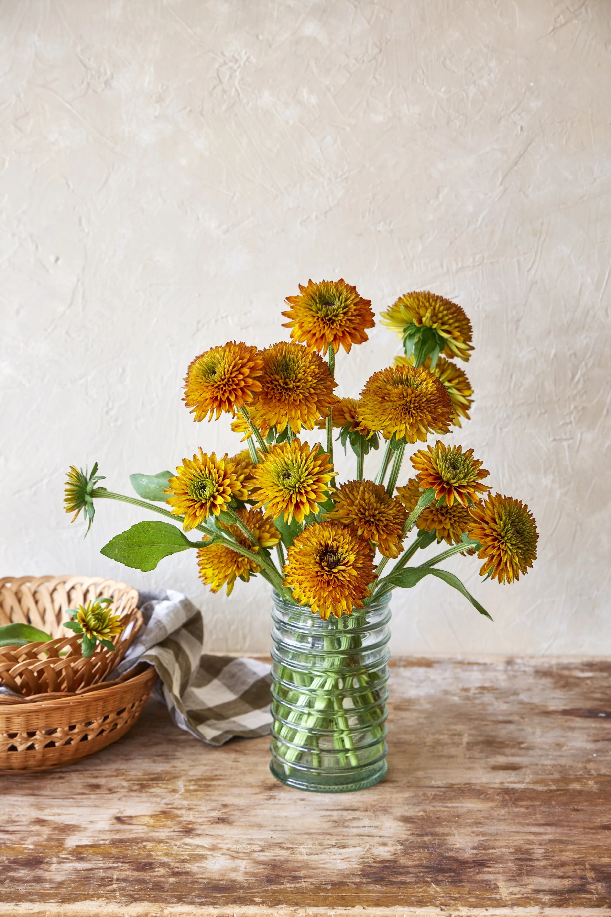 SM_070225_034_RUDBECKIA_SOLAR SISTERS.jpeg