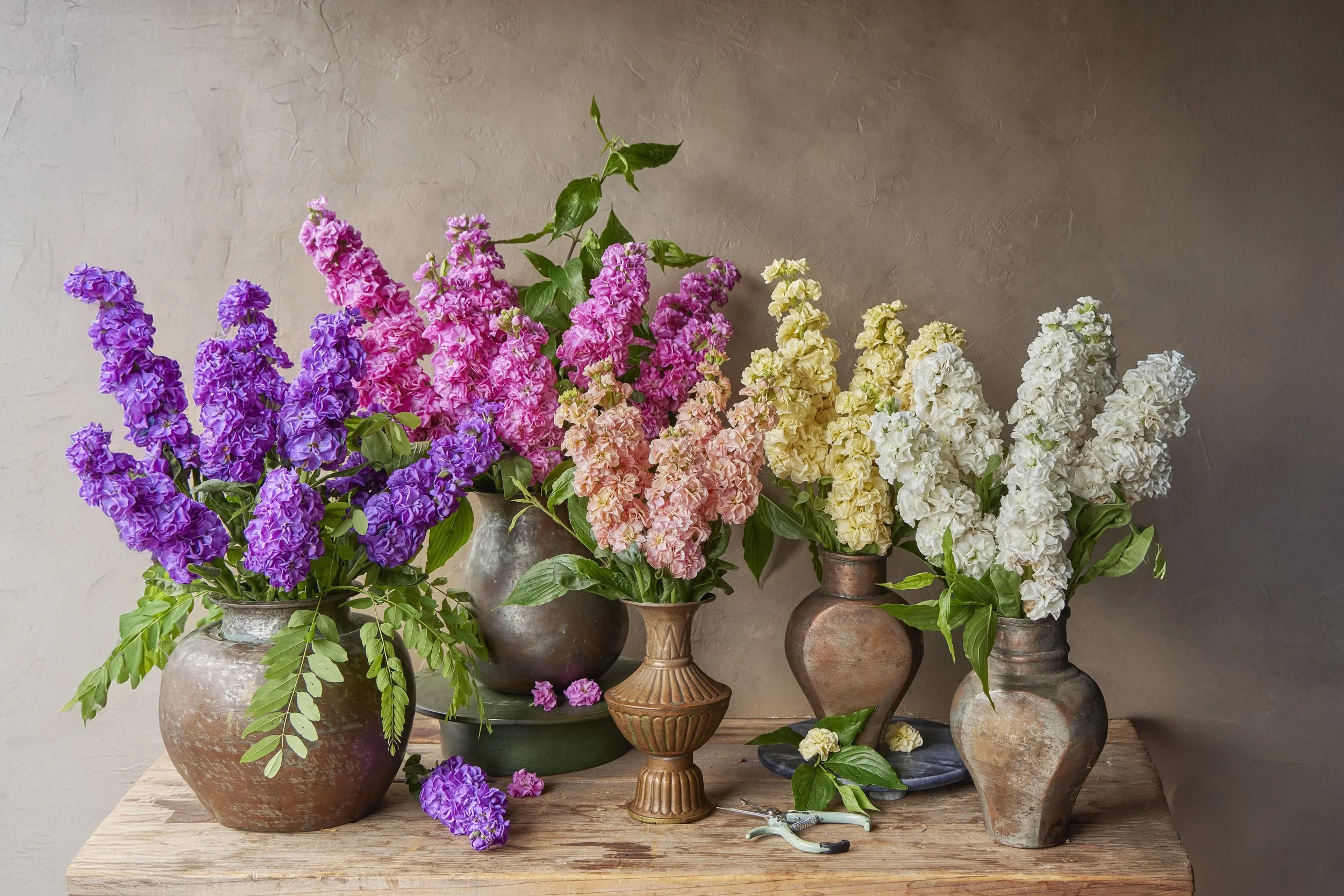 SM_061825_090_STOCK_IRON GROUP_v2.jpeg