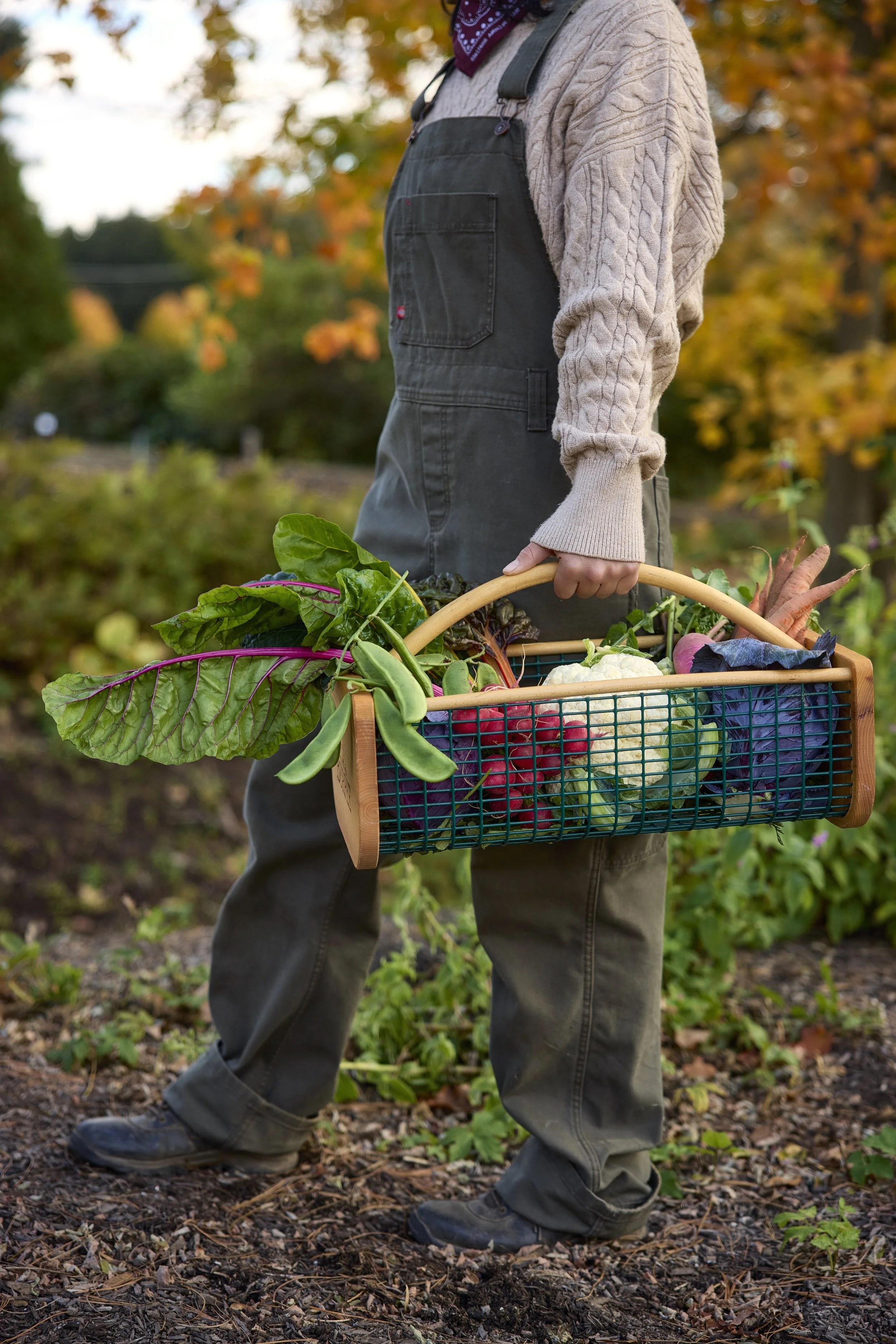 SM_102325_322_FALL HARVEST.jpeg
