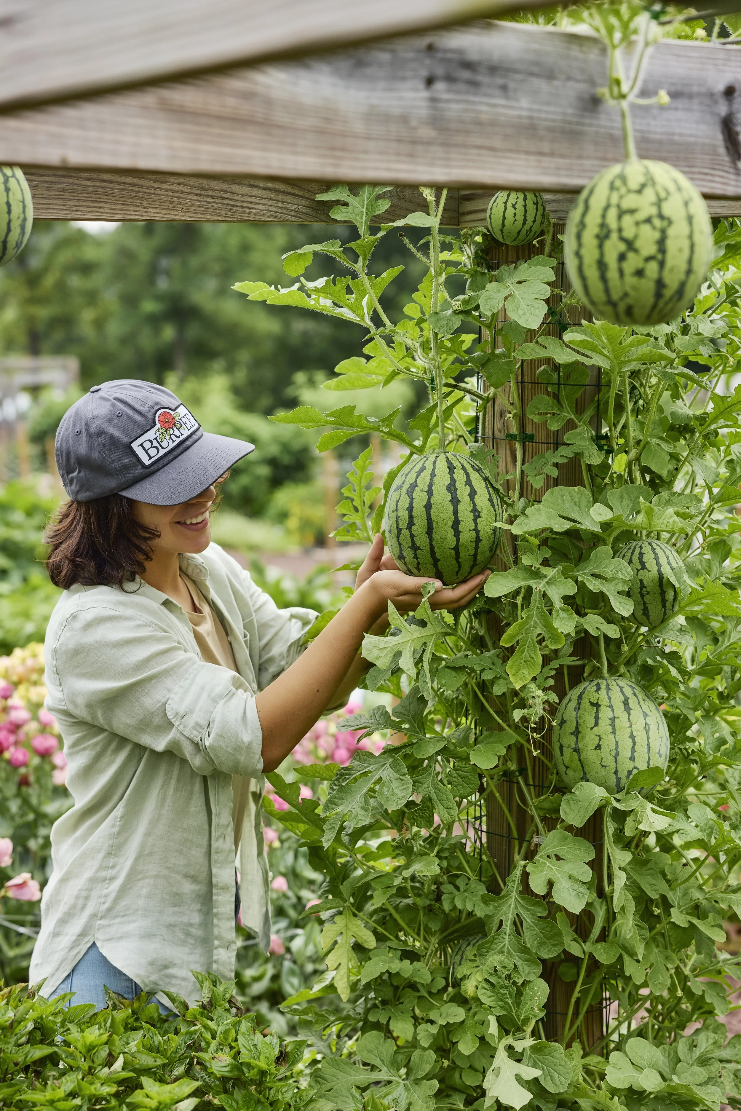 SM_080625_334_MELON_MINI ME.jpeg