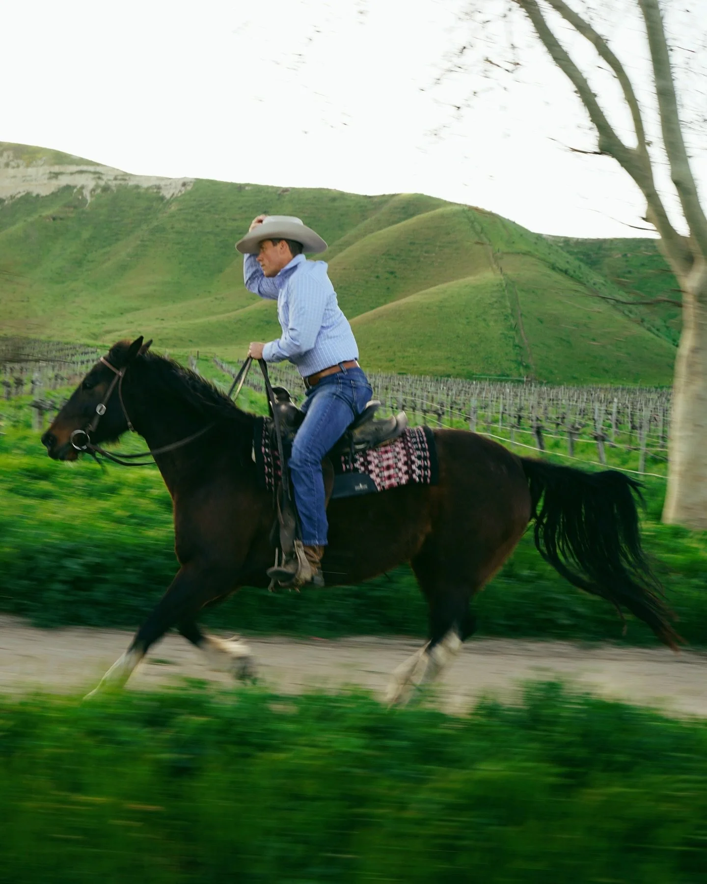 Daniel Sinton carrying on the ranch legacy, sustainable land, honest cattle, San Luis Obispo grit. 

#Caldera #Meatbox #Ranchraised #Ranchlife #California