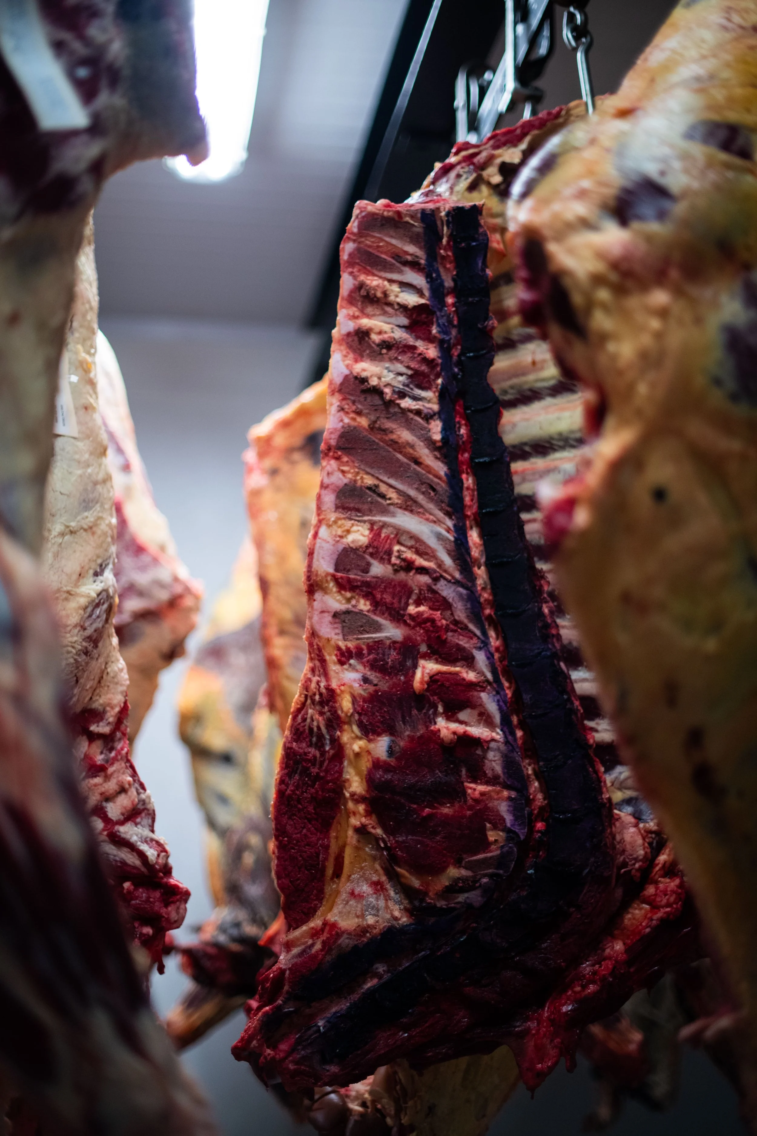 Photo by Brittany App