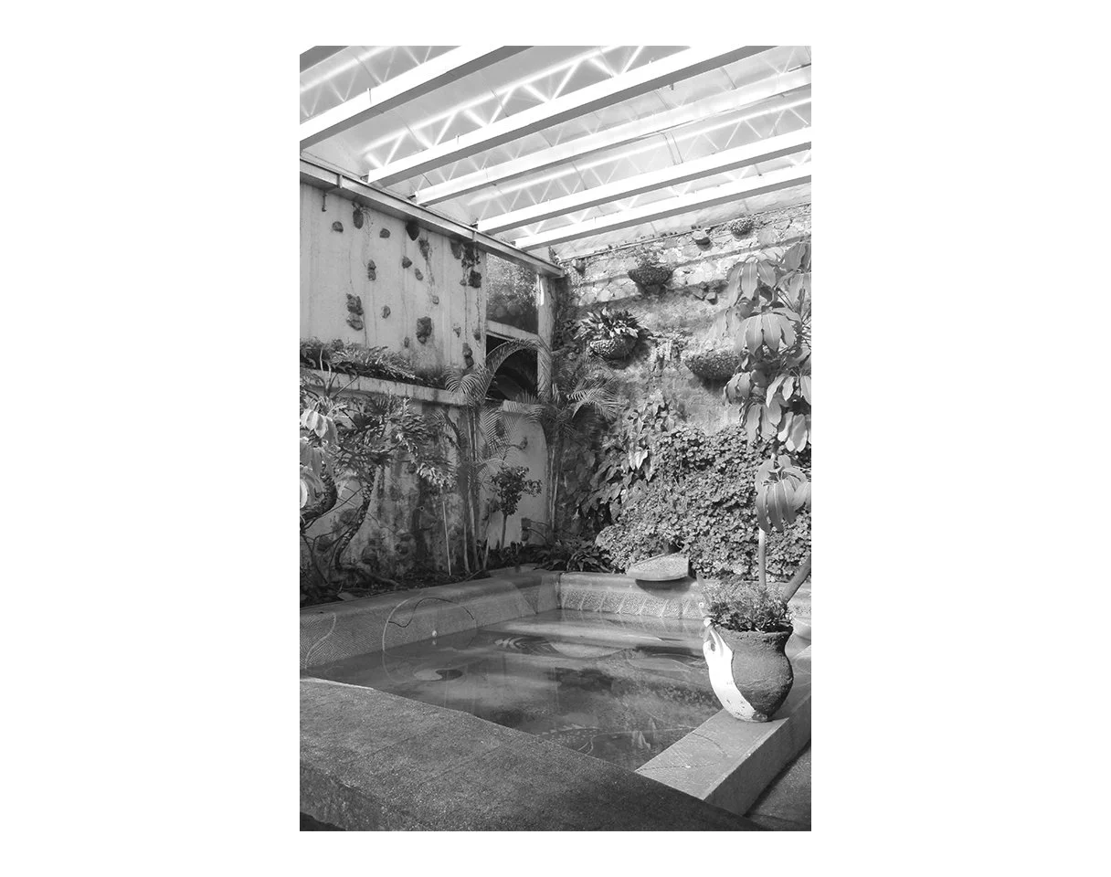 06.jpg