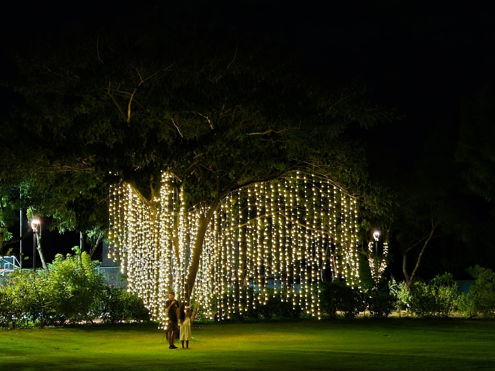 WhatsApp Image 2025-12-01 at 20.43.18.jpeg