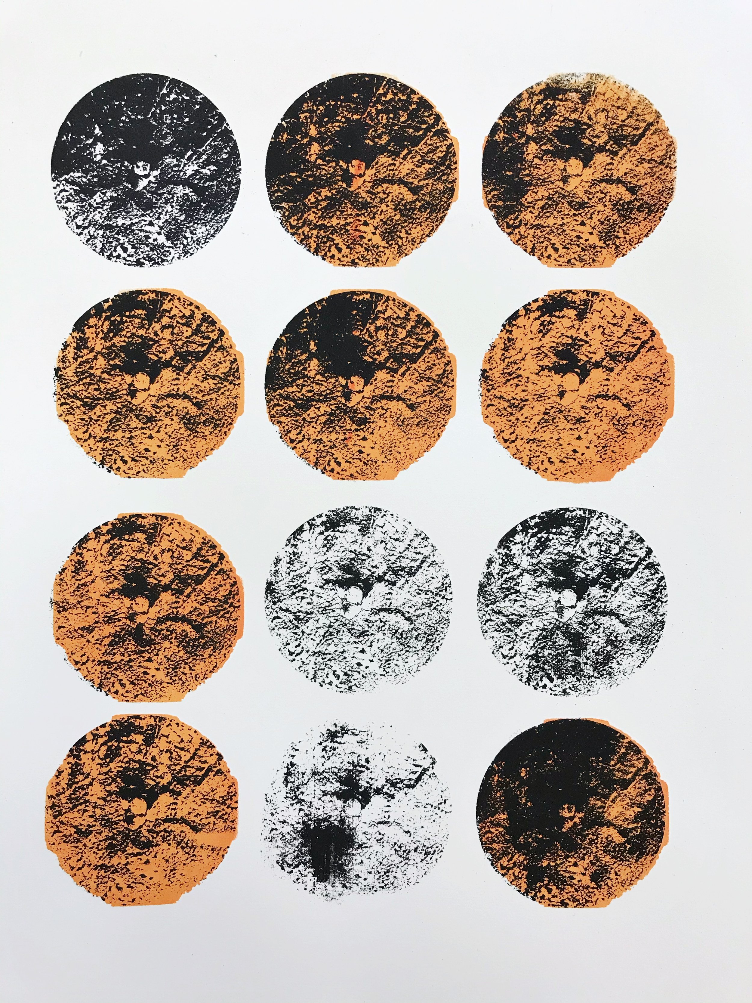 Center Pivot,
Screen print,
11” x 17”,
2021